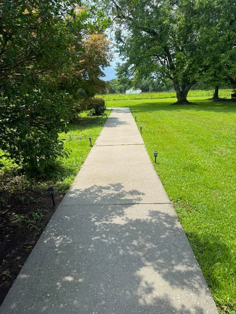 Sidewalk after pressure washing
